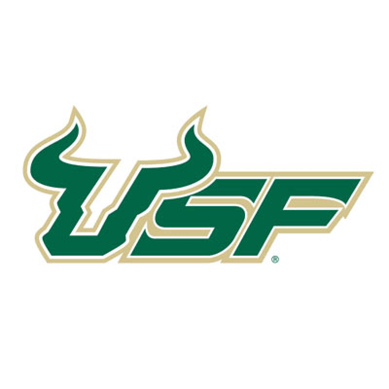 University of South Florida