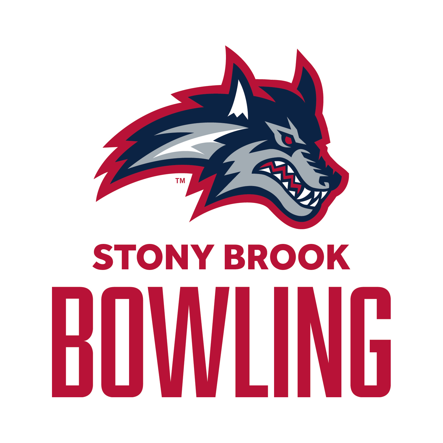 Stony Brook University